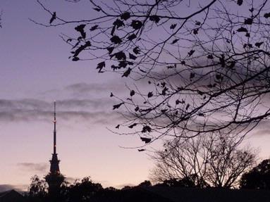  Sky Tower from Ponsonby Rd